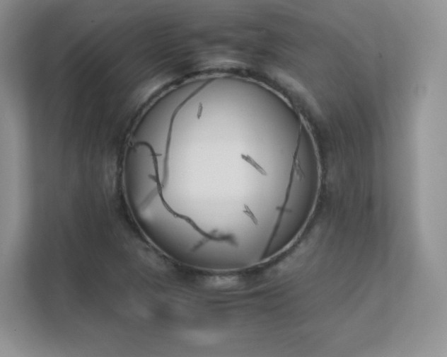 X0000111501313200907211022