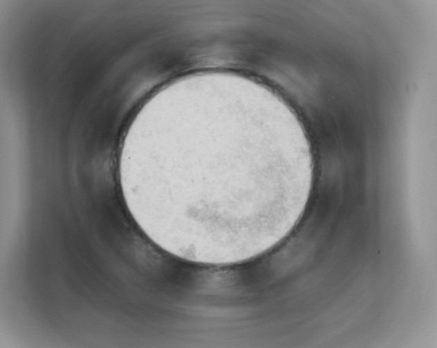 X0000111501314200907211022