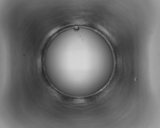 X0000111501315200907211022