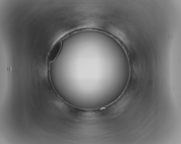 X0000111501316200907211022