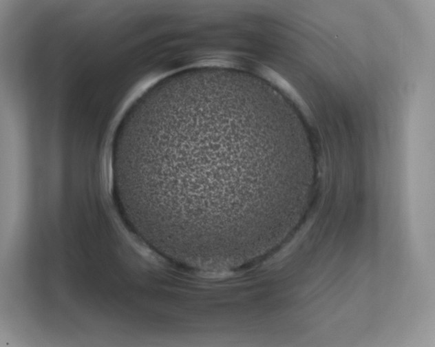 X0000111501323200907211022