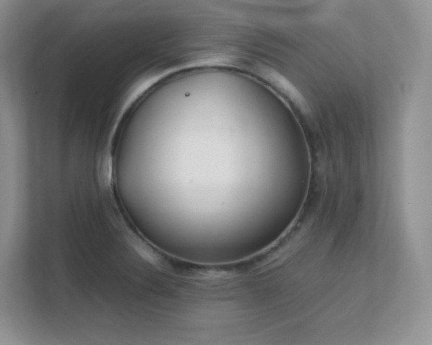 X0000111501324200907211022