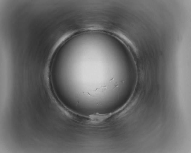 X0000111501325200907211022