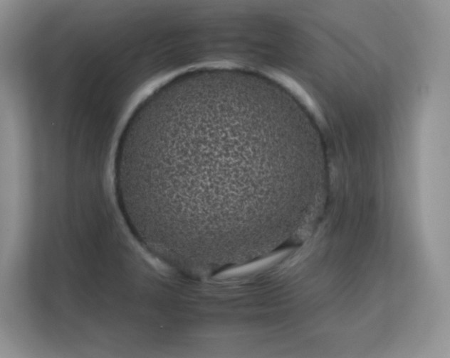 X0000111501327200907211022