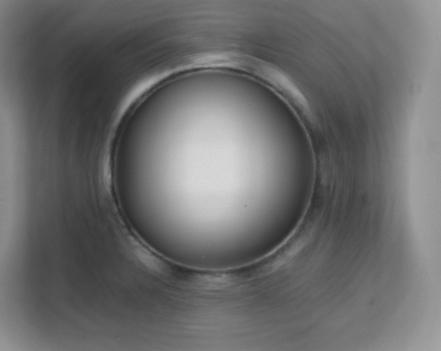 X0000111501328200907211022