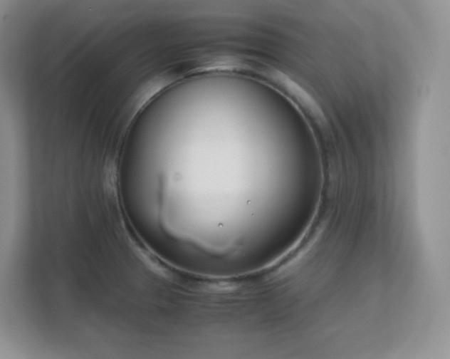 X0000111501329200907211022
