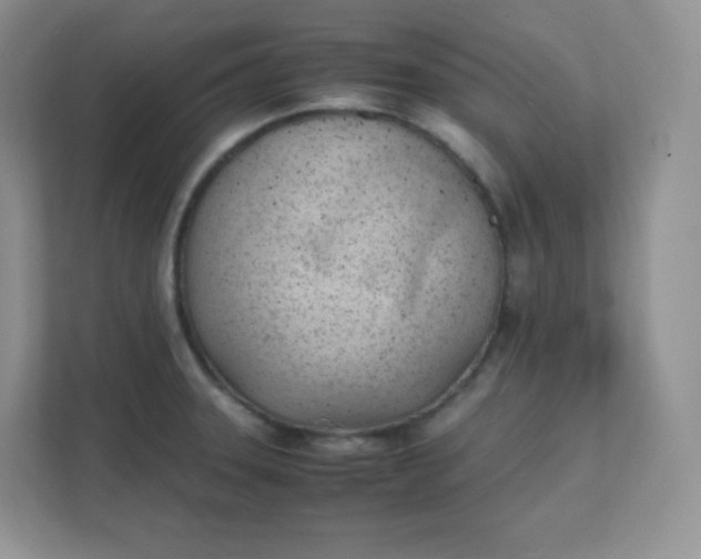 X0000111501331200907211022