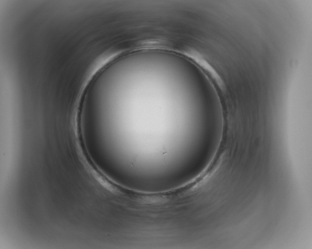 X0000111501333200907211022