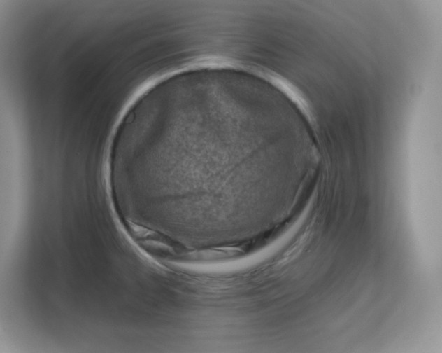 X0000111501334200907211022
