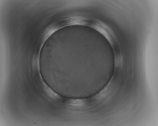 X0000111501338200907211022