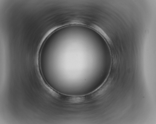 X0000111501339200907211022