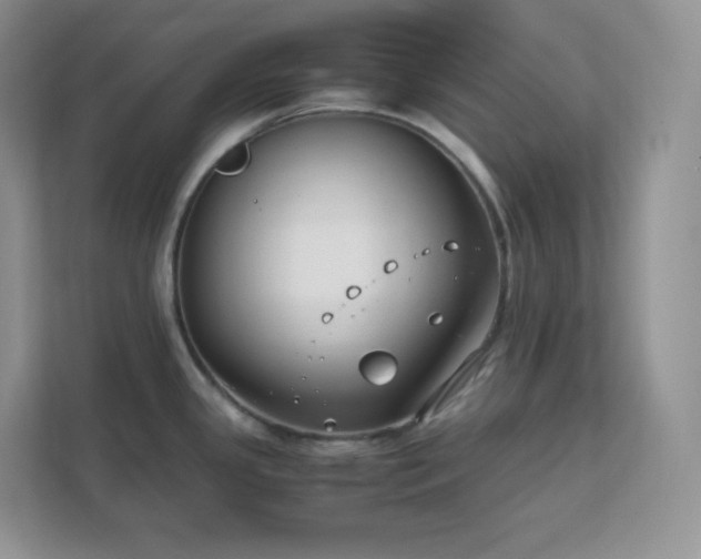 X0000111501341200907211022