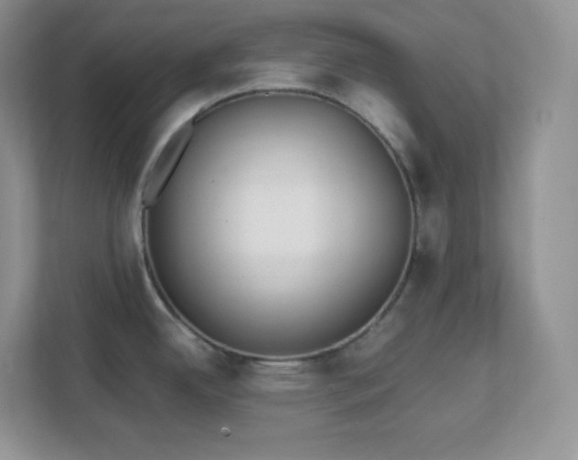 X0000111501342200907211022