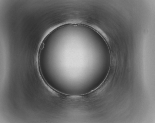 X0000111501343200907211022