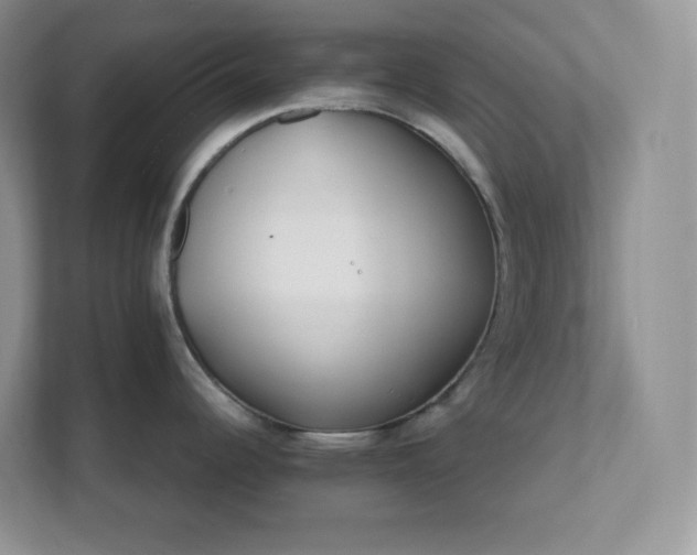 X0000111501344200907211022