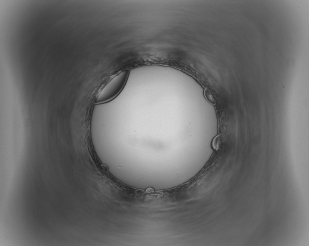 X0000111501345200907211022