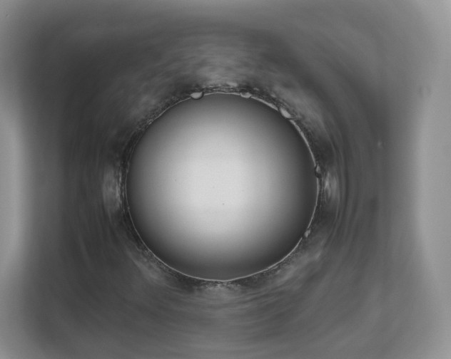 X0000111501348200907211022