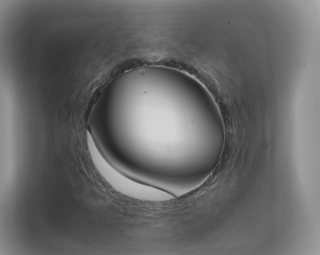 X0000111501349200907211022