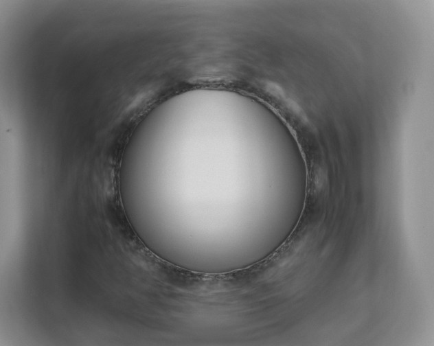 X0000111501350200907211022