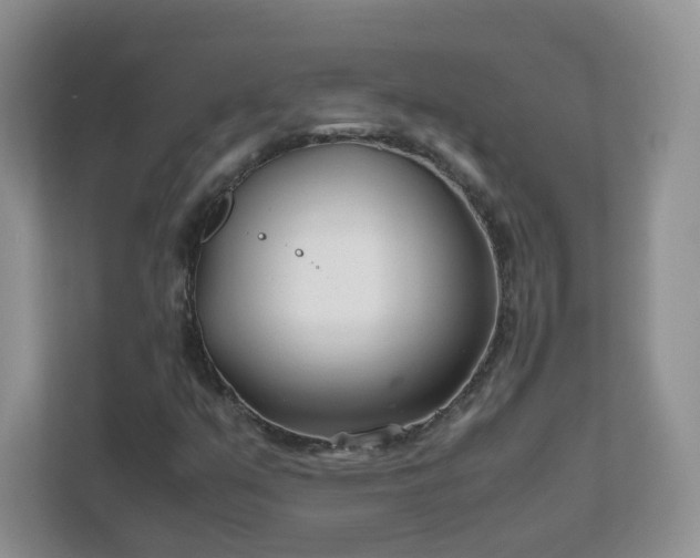 X0000111501351200907211022