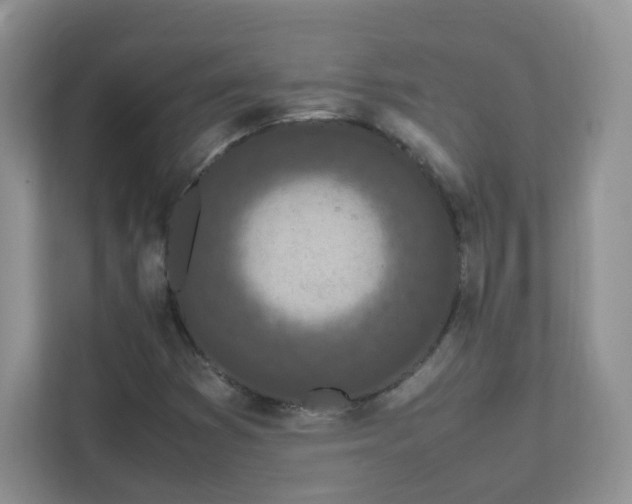 X0000111501353200907211022