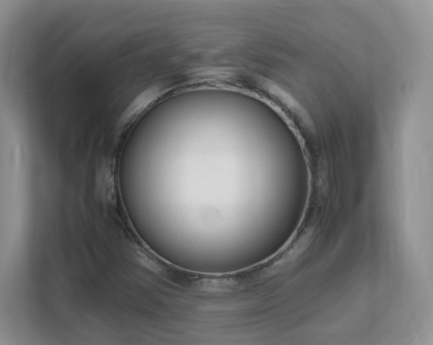 X0000111501354200907211022