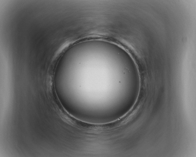 X0000111501355200907211022