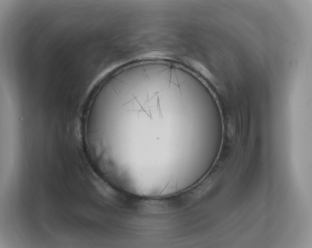 X0000111501356200907211022
