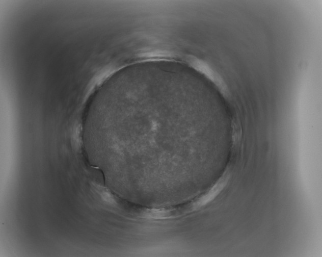 X0000111501357200907211022