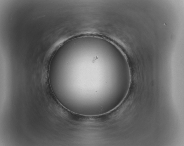 X0000111501359200907211022