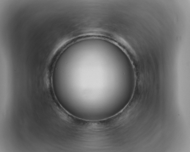 X0000111501360200907211022