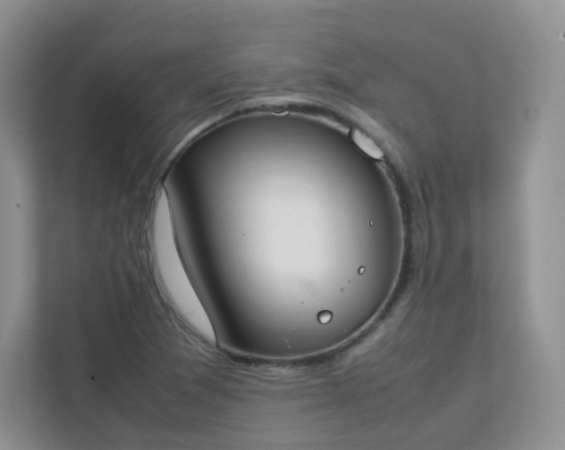X0000111501361200907211022