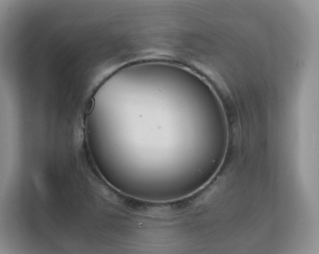 X0000111501363200907211021