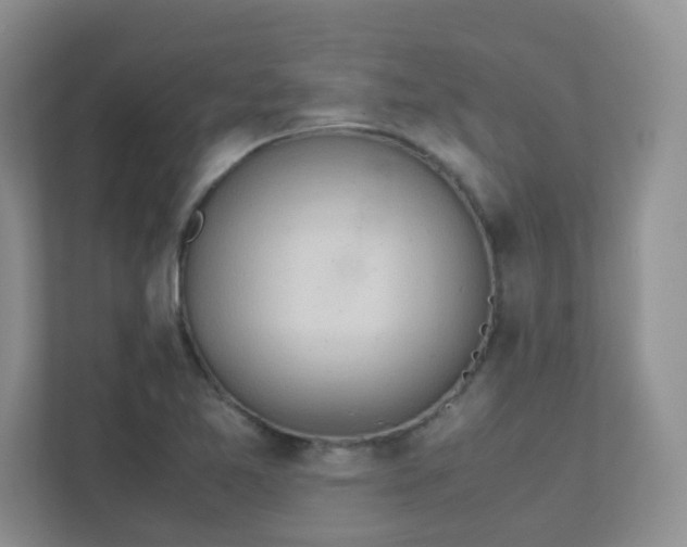 X0000111501365200907211021