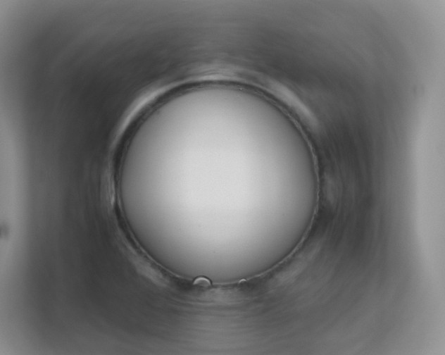 X0000111501368200907211021