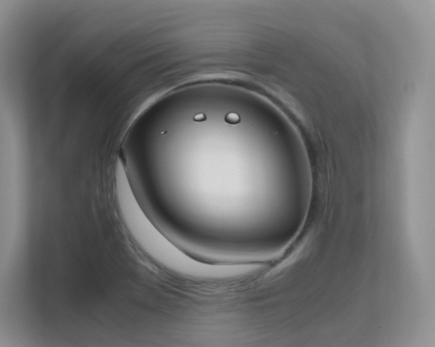 X0000111501369200907211021