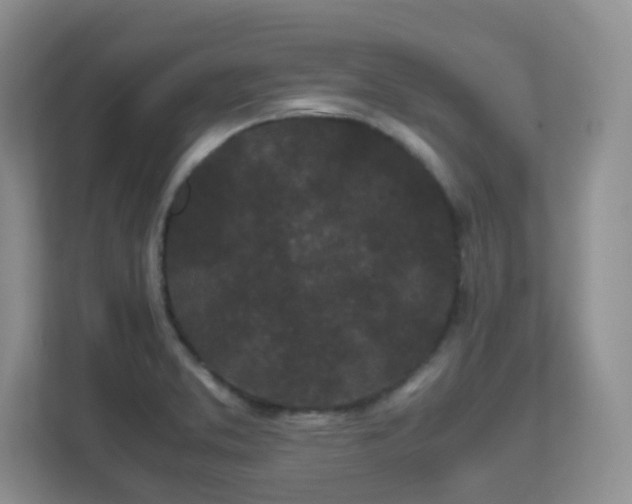 X0000111501373200907211021