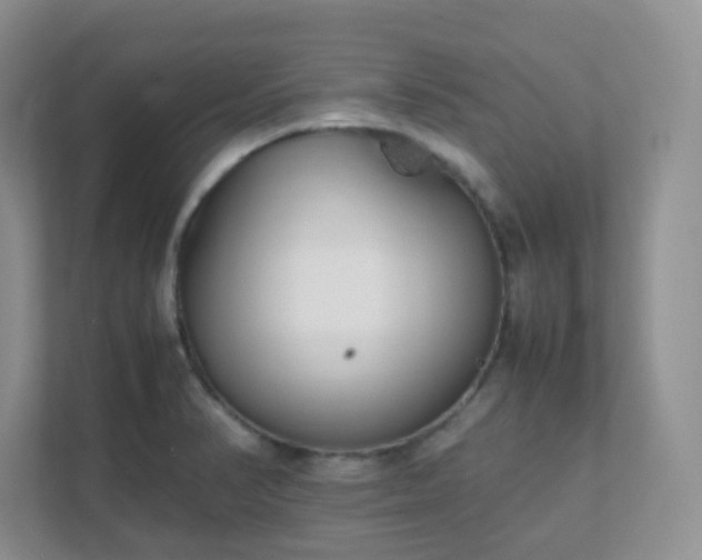 X0000111501374200907211021