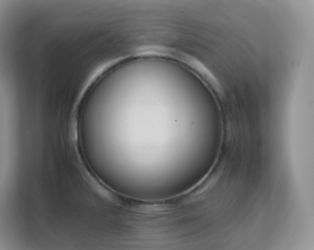 X0000111501376200907211021