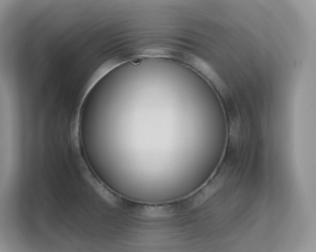 X0000111501378200907211021