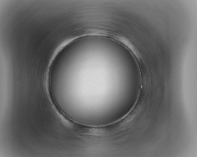 X0000111501379200907211021