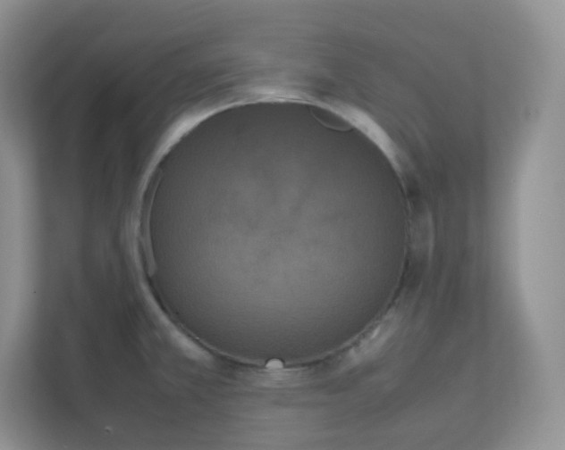 X0000111501381200907211021