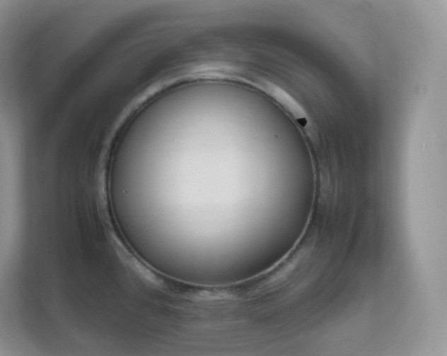 X0000111501384200907211021