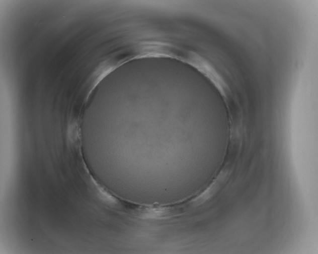 X0000111501385200907211021