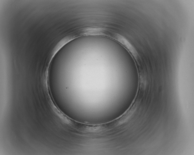 X0000111501386200907211021