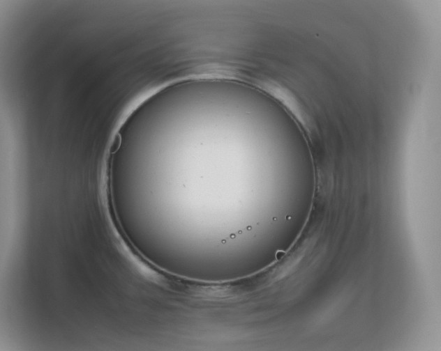 X0000111501387200907211021
