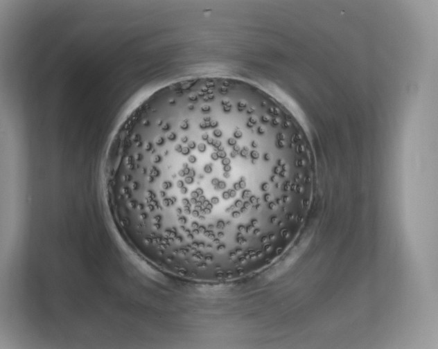 X0000111501389200907211021