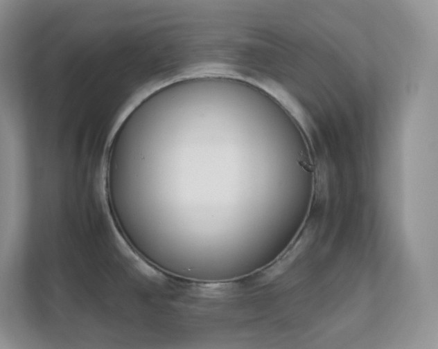 X0000111501390200907211021