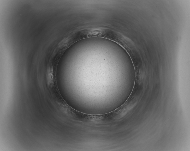 X0000111501394200907211020