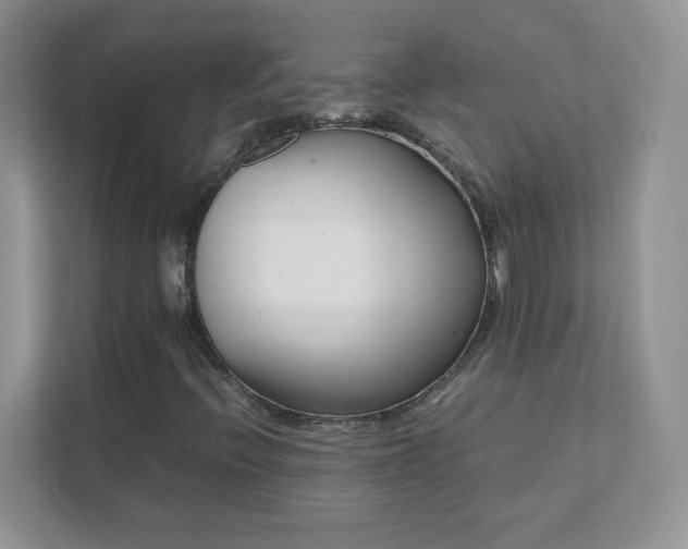 X0000111501396200907211021